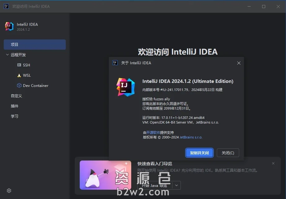 Jetbrains GoLand 2025.1